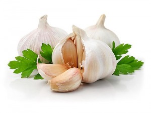 fresh garlic