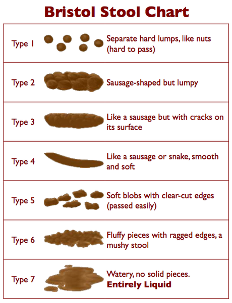 Bristol_Stool_Chart Bristol_Stool_Chart - Home Remedies Log