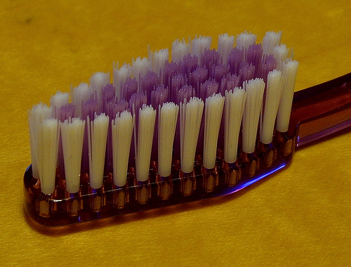 Toothbrush Toothbrush head