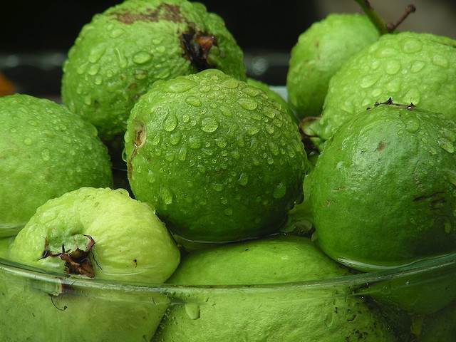 guava