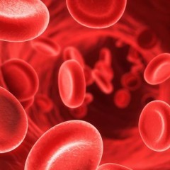 How to Lower Cholesterol Naturally with the Right Foods