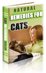 Natural Remedies for Cats