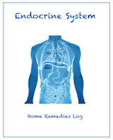 Endocrine-system-ebook-cover