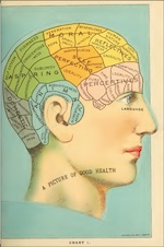 LibraryofHealth-ebook-cover