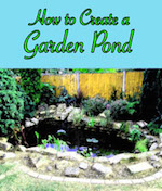 How to Create a Garden Pond