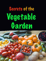 Secrets of vegetable gardening