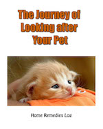 The Journey of Caring for Your Pet - Ebook Cover