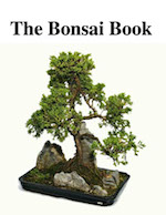 The bondai Book -ebook cover