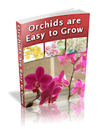 how to grow orchids