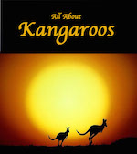All About Kangaroos