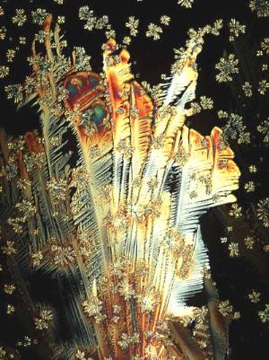Crystals_of_vitamin_C