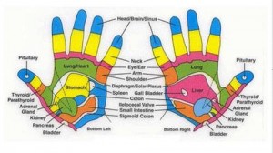 Hand vital point reflexology map illustration