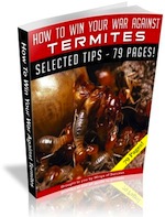 How-To-Win-Your-War-Against-Termites