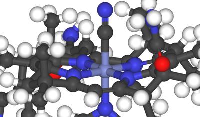 Vitamin-B12-dna