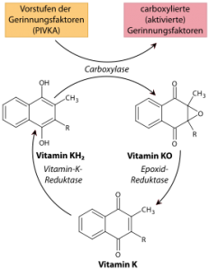 Vitamin-k-chemical-structure