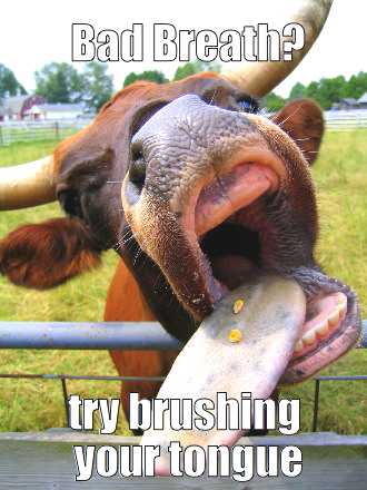 bad-breath-brush-tongue-cowoptimized