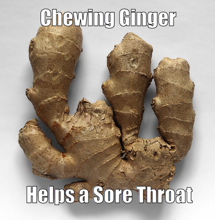 raw ginger root raw ginger root