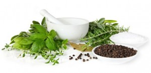picture of herbs used for remedies